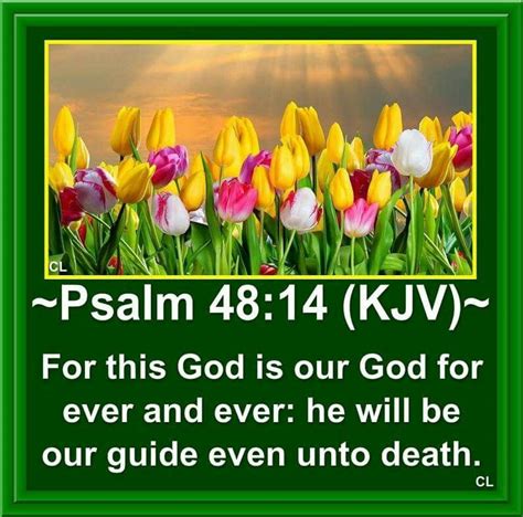 psalm 48 message bible.